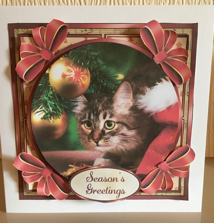 Christmas Kitty Circular Fronted Square by Carole McGregor
