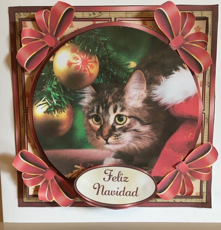 Christmas Kitty Circular Fronted Square by Carole McGregor