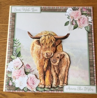 HIGHLAND COWS by Carole McGregor