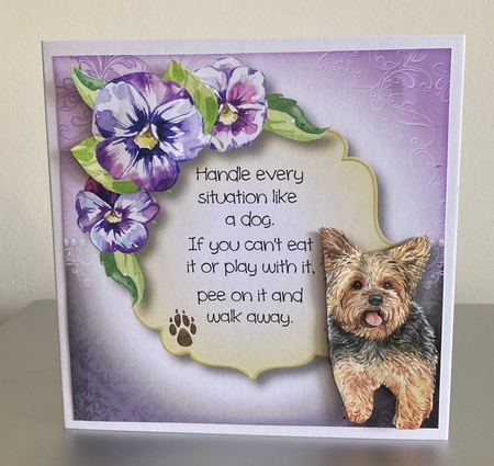Handle Every Situation Like A Dog QUICK TOPPER Bumper Kit by Carole McGregor