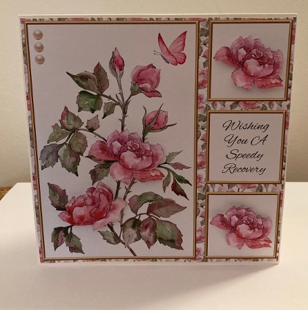 Lovely Wild Roses - Get Well Card #1 by Carole McGregor