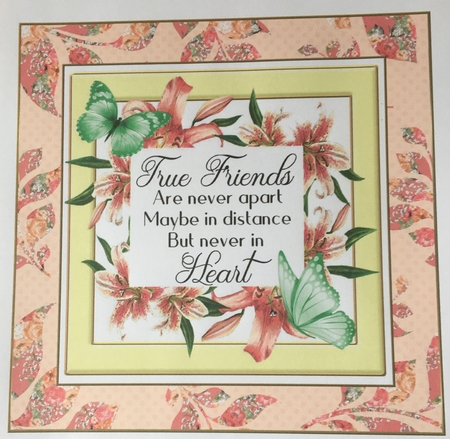True friend verse! in pretty pink lily frame with butterflies 8x8 by Carole McGregor