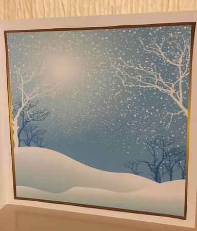 Kindness is like snow...  Cards with Quotes  by Carole McGregor