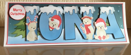POLAR BEAR NAMES - IONA by Carole McGregor