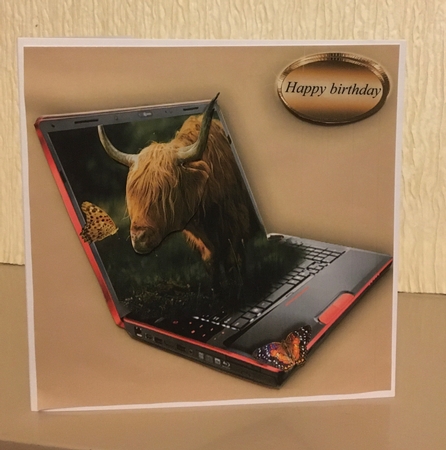 highland cow by Carole McGregor