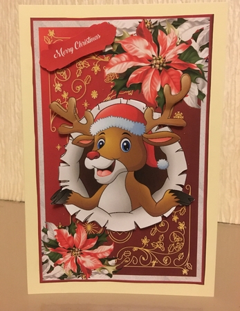 Peep-A-Boo Reindeer by Carole McGregor