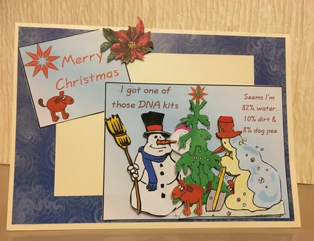 Snowman DNA by Carole McGregor