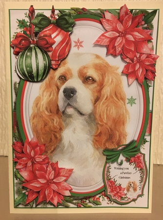Festivities & Furry Friends 19 Featured Gallery Photo