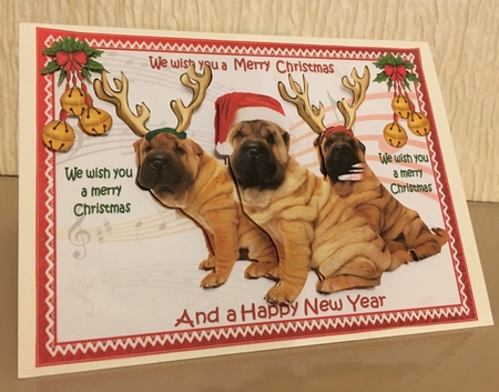 We wish you a merry Christmas from the dogs mini kit 1 by Carole McGregor
