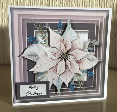 The Pale Lilac Poinsettia 8x8 by Carole McGregor