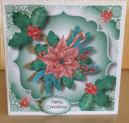 The Christmas Poinsettia 8x8 by Carole McGregor