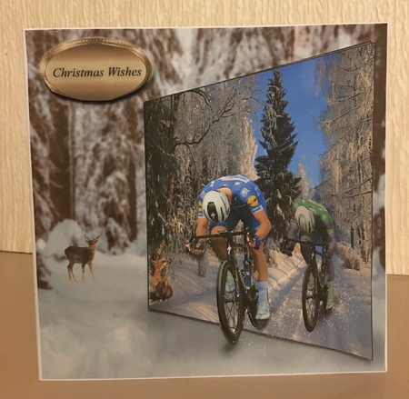 winter ride  by Carole McGregor