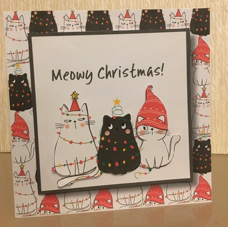 Meowy Christmas - Festive Cats In Hats by Carole McGregor