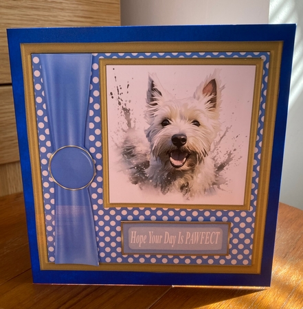 Its all about the splash West Highland terrier card front 4 by Carole McGregor