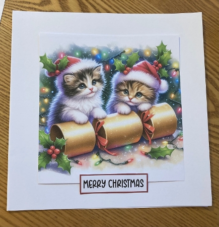 Kitten crackers by Carole McGregor