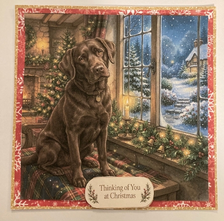 Christmas window 4 by Carole McGregor