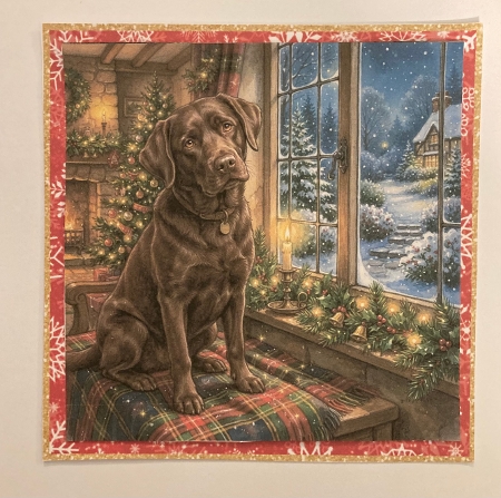 Christmas window 4 by Carole McGregor