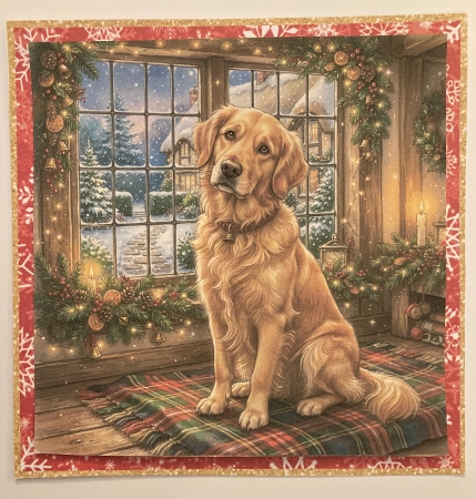 Christmas window 4 by Carole McGregor