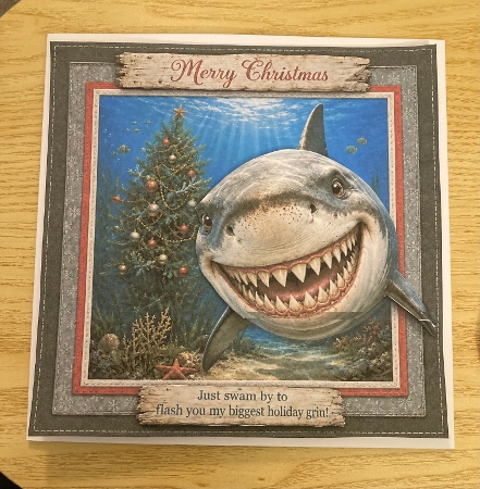 Merry Christmas **Just swam by** by Carole McGregor