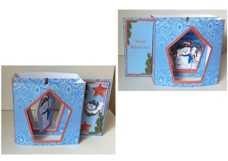 Box Side Aperture Card - Polar Bear and Penguin by Carole McGregor