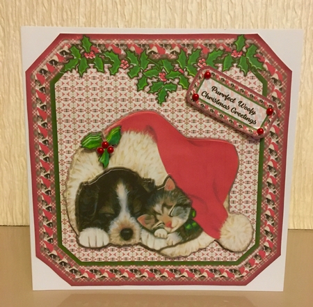 JJ PETS LOVE CHRISTMAS TOO SLEEPY CAT AND DOG 8X8 by Carole McGregor