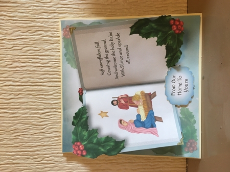 Blank Christmas Open Book - Holly by Carole McGregor