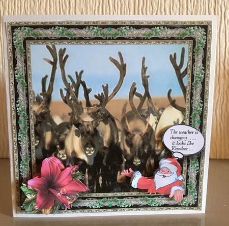 Santas Cracker Jokes - Looks like reindeer by Carole McGregor