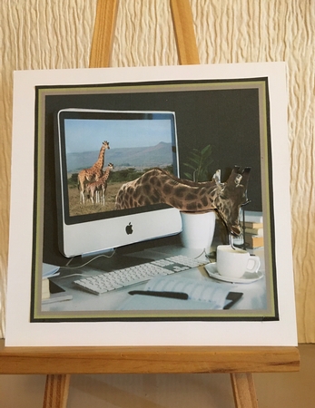THIRSTY GIRAFFE 6x6 by Carole McGregor