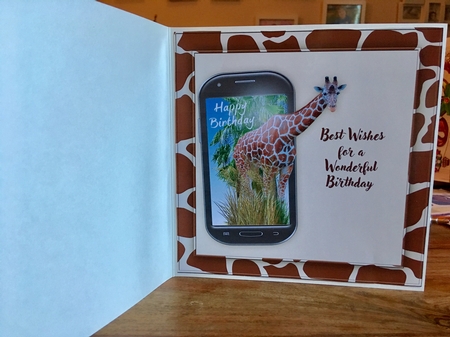 Having A Giraffe Male Birthday Mini Kit by Carole McGregor