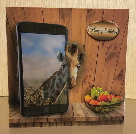 giraffe by Carole McGregor