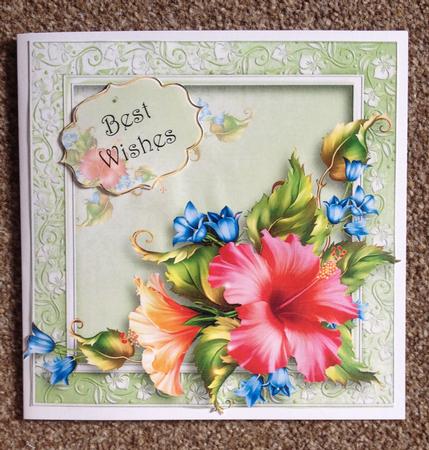 Beautiful Hibiscus in Pink 8x8 Quick Topper by Carole McGregor