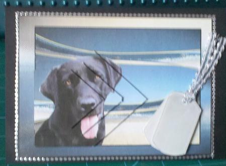 Black Labrador Pyramid by Carole Scorer