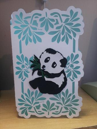 Bamboo Panda Card by Caroline Durnell