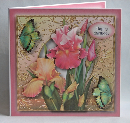 Square Gilded Frame - Blush Iris by Carolyn Norris