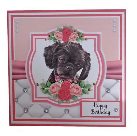 Poochy Pups  - 7x7 Inch Square Card Mini Kit - Makes Two Cards by Carolyn Norris