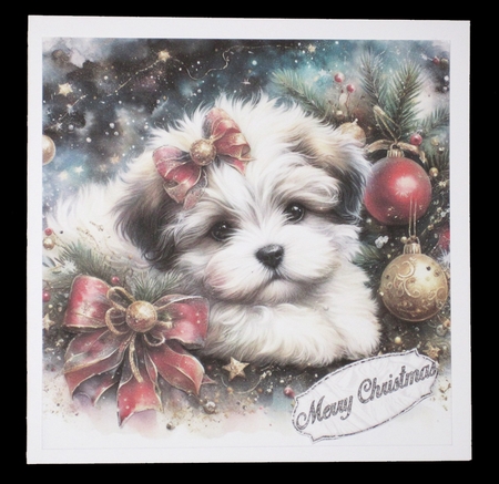 Christmas Pup  by Carolyn Norris