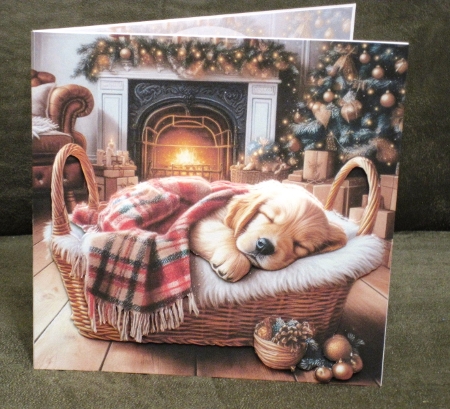 Festive Snooze Pups 9 by Carolyn Norris