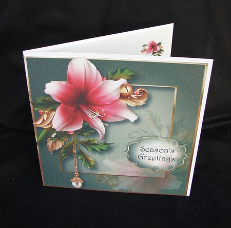 Festive Amaryllis 8x8 Quick Topper by Carolyn Norris