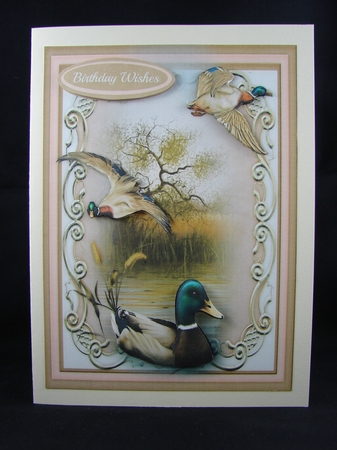 Mallard Ducks on the Marsh  by Carolyn Norris