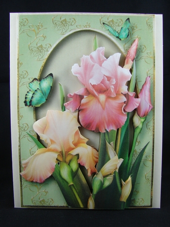 Beautiful Blush Iris A5 Mini Kit by Carolyn Norris