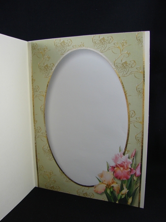 Beautiful Blush Iris A5 Mini Kit by Carolyn Norris