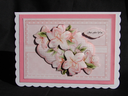 Pink Orchids beauty by Carolyn Norris
