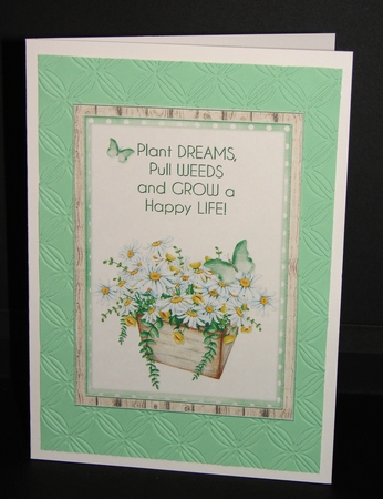 2 Floral Card Fronts 3 by Carolyn Norris