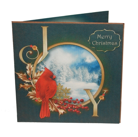 Joy Of Christmas by Carolyn Norris