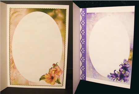 Floral Golden Frame Inserts Bumper Kit 2 by Carolyn Norris