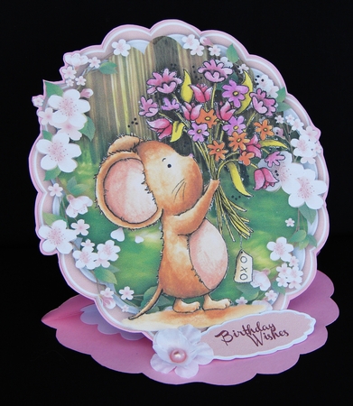 Little Mouse, Flowers for Someone Special by Carolyn Norris