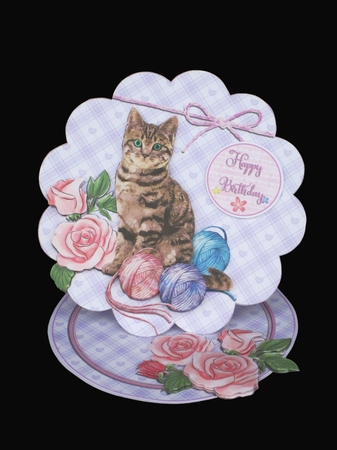 KITTEN & WOOL  by Carolyn Norris