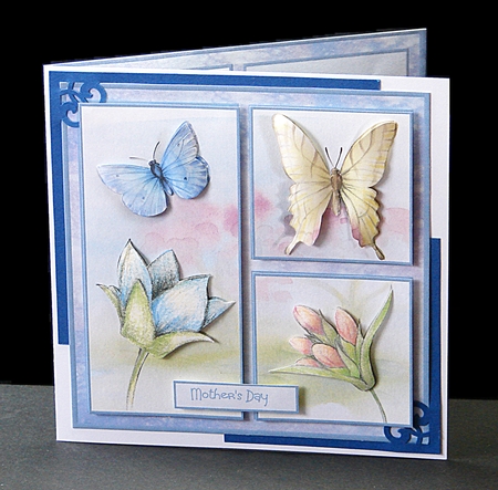 Butterflies and flowers by Carolyn Norris