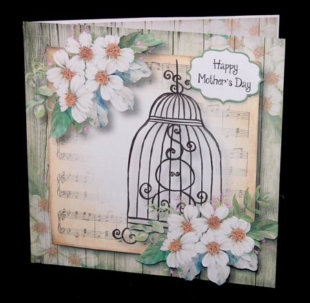Beautiful Floral Birdcage With Daisies by Carolyn Norris