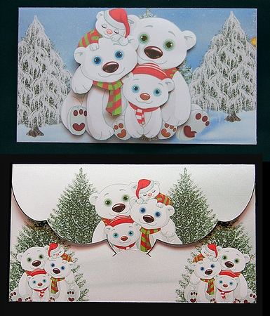 Beary Moneyt Wallet by Carolyn Norris